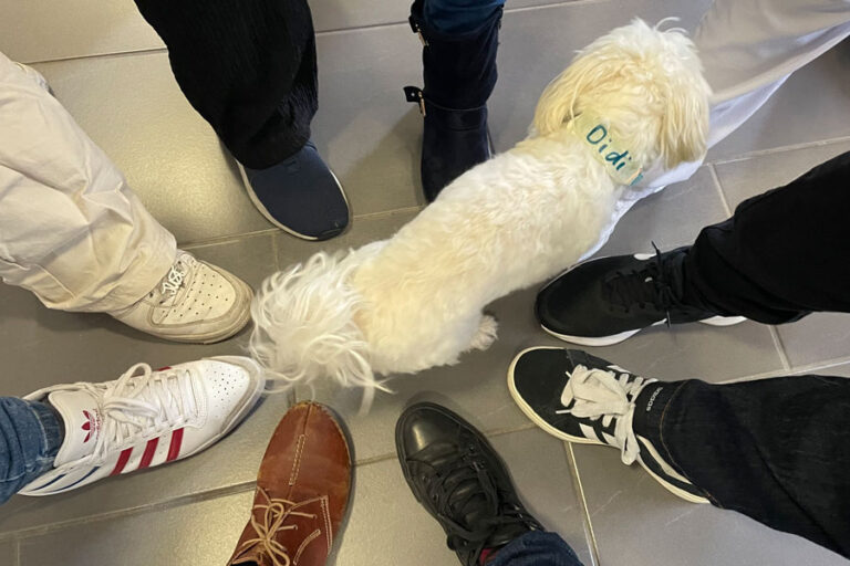 Aktionen 9 Tierische Begleitung im Humorworkshop Foto: privat